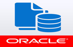 Oracle数据库管理工具有哪些?-北京万象城线上平台,万象城（中国）公司