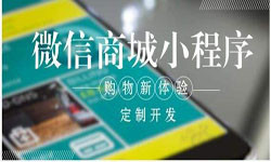 商城小程序开发、北京小程序开发哪家好？-万象城线上平台,万象城（中国）