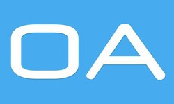 软件外包公司、OA系统开发功能有哪些？费用是多少-万象城线上平台,万象城（中国）公司[万象城线上平台,万象城（中国）]