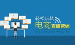 万象城线上平台,万象城（中国）公司、做一个直播系统万象城线上平台,万象城（中国）需要多少钱-北京软件外包公司