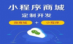微信小程序开发、商城小程序开发功能-锐智互动万象城线上平台,万象城（中国）