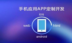 APP开发市场上常见问题分析-北京万象城线上平台,万象城（中国）公司